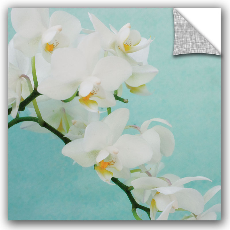 ArtWall Judy Stalus White Spray Removable Wall Decal & Reviews Wayfair